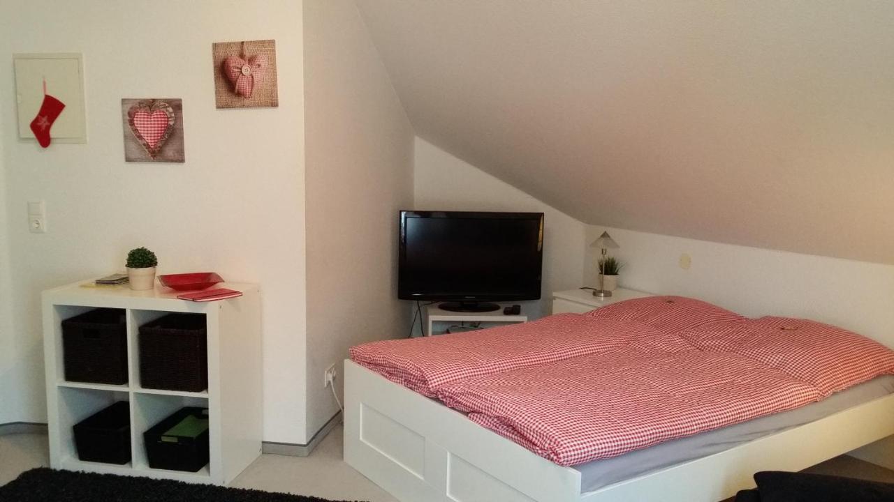 Apartment Gosch An Der Skiwiese 브라운라제 외부 사진